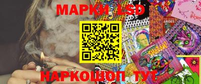 сатива Новозыбков