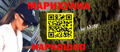 сатива Новозыбков
