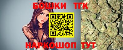 сатива Новозыбков