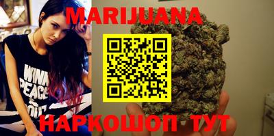сатива Новозыбков
