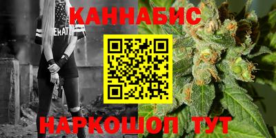 сатива Новозыбков