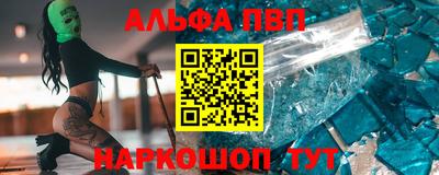 сатива Новозыбков