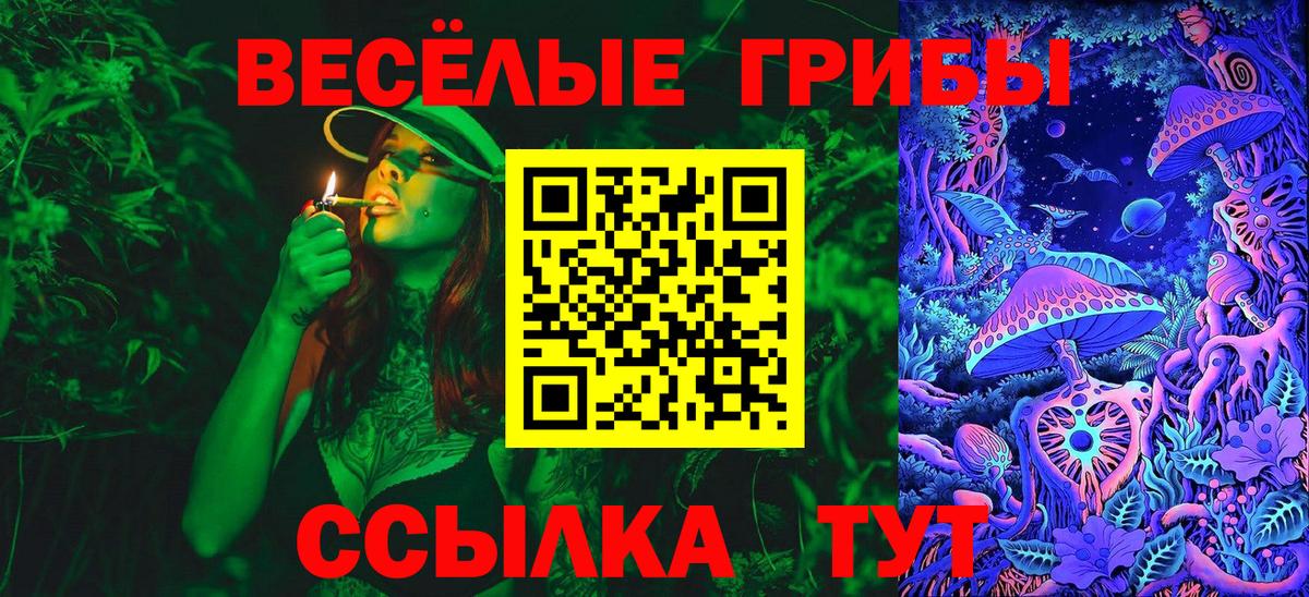 Галлюциногенные грибы Cubensis Советский