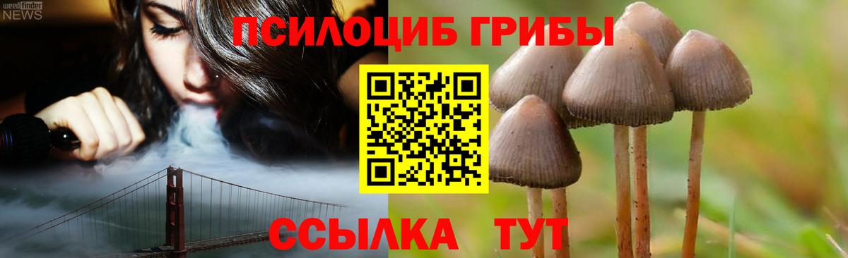 Советский  Псилоцибиновые грибы Psilocybine cubensis  Псилоцибиновые грибы Psilocybe  Вход с VPN 